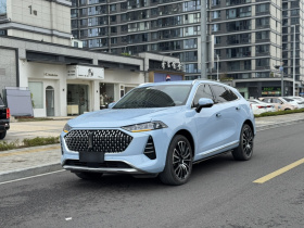 魏牌 摩卡 2021款 2.0T 四驱特醇版