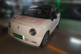 欧拉黑猫 2021款 351km 标准型