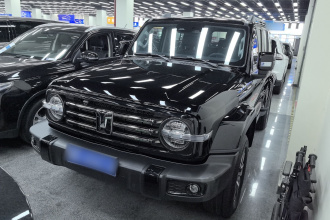 坦克300 2024款 2.0T 穿越者