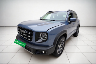 哈弗大狗 2021款 1.5T DCT两驱边牧版