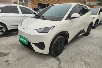 比亚迪 海鸥 2025款 智驾版 305km 活力版