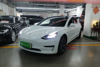 特斯拉 Model 3 2020款 改款 标准续航后驱升级版