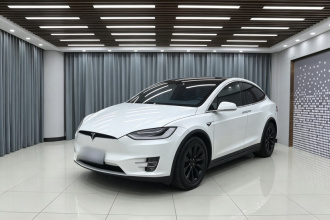 特斯拉 Model X 2019款 长续航版