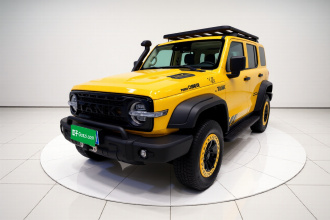 坦克300 2022款 2.0T 边境限定版