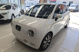 欧拉黑猫 2021款 351km 豪华型