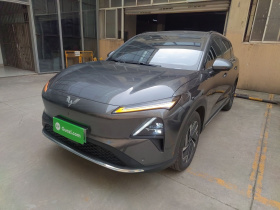 五菱汽车 五菱星光S 2024款 510km 旗舰型