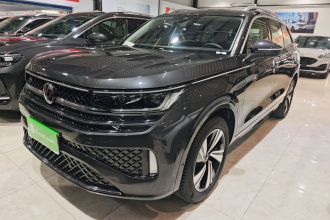 大众 揽巡 2023款 380TSI 四驱R-Line巡游版