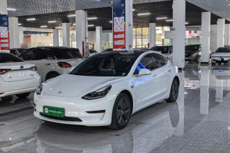特斯拉 Model 3 2020款 改款 标准续航后驱升级版