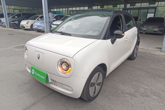 欧拉黑猫 2022款 301km 萌宠版 磷酸铁锂