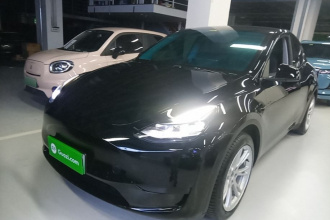 特斯拉 Model Y 2022款 后轮驱动版