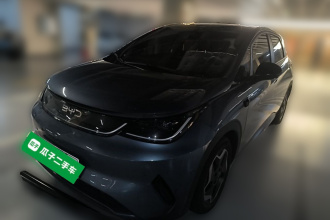 比亚迪 海豚 2025款 智驾版 420km 自由版