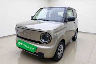 吉利银河 2023款 熊猫mini 200km 耐力熊