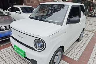 吉利银河 2023款 熊猫mini 200km 耐力熊