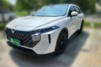 启辰大V 2021款 260T 爱豆版