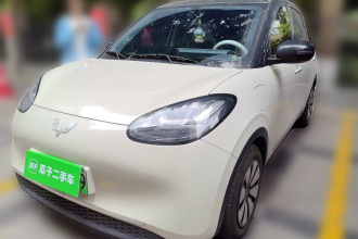 五菱汽车 五菱缤果 2024款 333km 悦享款