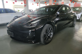 特斯拉 Model 3 2020款 标准续航后驱升级版