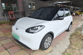 五菱汽车 五菱缤果 2024款 203km 轻享款