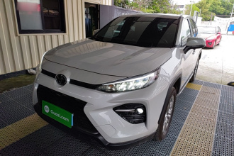 丰田 威兰达 2024款 2.0L CVT两驱领先版