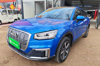 奥迪Q2L e-tron 2019款 Q2L e-tron 纯电智享型