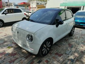 欧拉黑猫 2021款 351km 豪华型