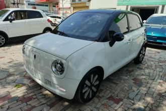 欧拉黑猫 2021款 351km 豪华型