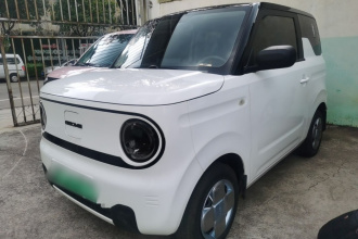 吉利银河 2023款 熊猫mini 200km 耐力熊