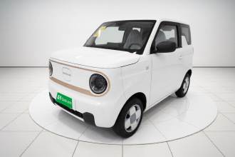 吉利银河 2024款 熊猫mini 200km 耐力熊