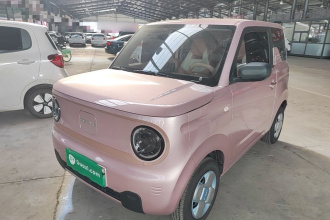 吉利银河 2024款 熊猫mini 200km 耐力熊
