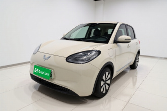 五菱汽车 五菱缤果 2023款 333km 灵犀互联+款