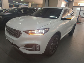 魏牌 VV6 2021款 2.0T 两驱智享+