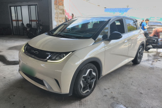 比亚迪 海豚 2021款 405km 时尚版