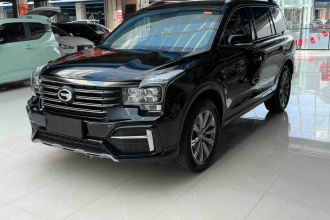 广汽传祺 传祺GS8 2020款 390T 两驱豪华智联纪念版（七座）