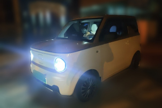 吉利银河 2023款 熊猫mini 200km 耐力熊