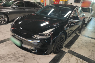 特斯拉 Model 3 2020款 标准续航后驱升级版
