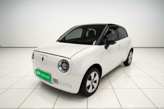 欧拉黑猫 2021款 301km 基础型