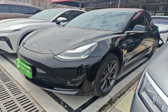 特斯拉 Model 3 2020款 标准续航后驱升级版
