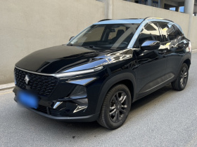 宝骏RS-3 2020款 1.5L 手动24小时在线豪华型