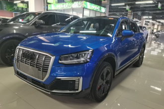 奥迪Q2L e-tron 2019款 Q2L e-tron 纯电智享型