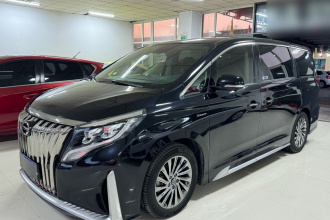 广汽传祺 传祺M8 2023款 大师系列 390T 至尊版