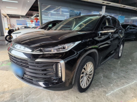 星途凌云 2021款 290T 两驱星耀版