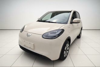 五菱汽车 五菱缤果 2025款 333km 悦享款