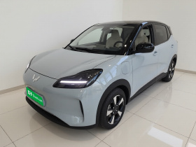 五菱汽车 五菱缤果PLUS 2024款 401km 五座版