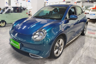 欧拉好猫 2021款 400km标准续航 维纳斯版 三元锂