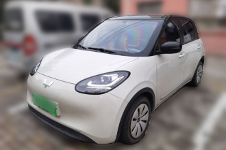 五菱汽车 五菱缤果 2023款 203km 轻享款
