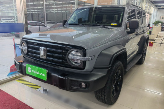 坦克300 2021款 越野版 2.0T 征服者