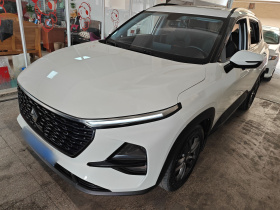 宝骏RS-3 2020款 1.5L CVT  24小时在线豪华型