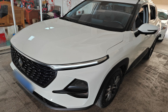 宝骏RS-3 2020款 1.5L CVT  24小时在线豪华型