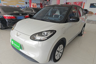 五菱汽车 五菱缤果 2023款 333km 快享款