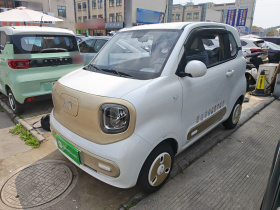 奔腾小马 2025款 222km 闪电马