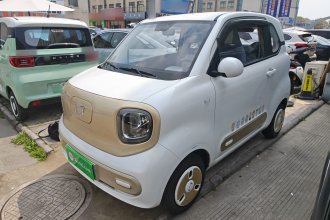 奔腾小马 2025款 222km 闪电马